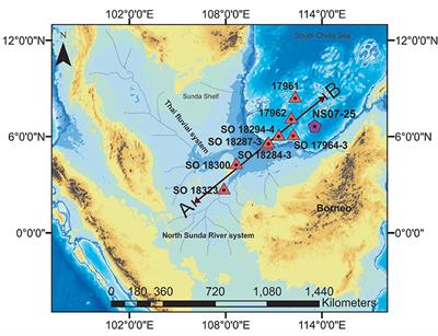 Sediment Provenance of the Nansha Trough Since 40 ka B.P. in the South China Sea: Evidence From δ13Corg, TOC and Pollen Composition
